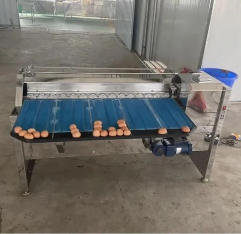 Automatic Egg Sorting Machine